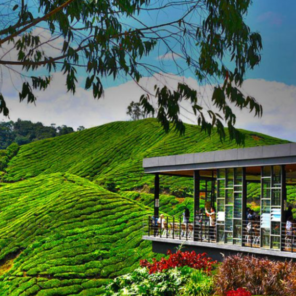 pahang